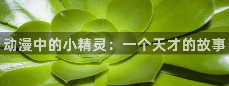 免费观看樱花动漫：动漫中的小精灵：一个天才的故事