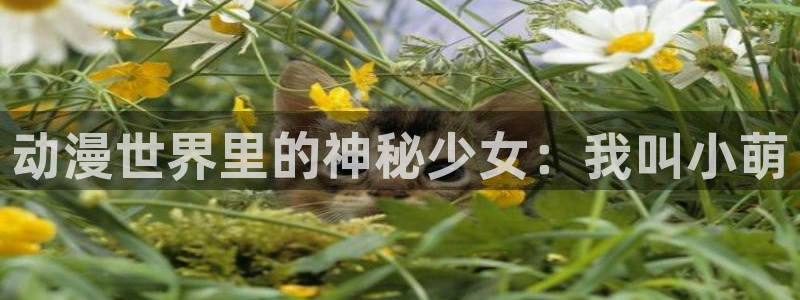 樱花动漫01：动漫世界里的神秘少女：我叫小萌